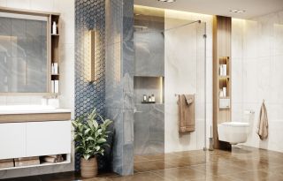 Душевая перегородка Ambassador Walk-in 15031106 100см хром/прозрачное